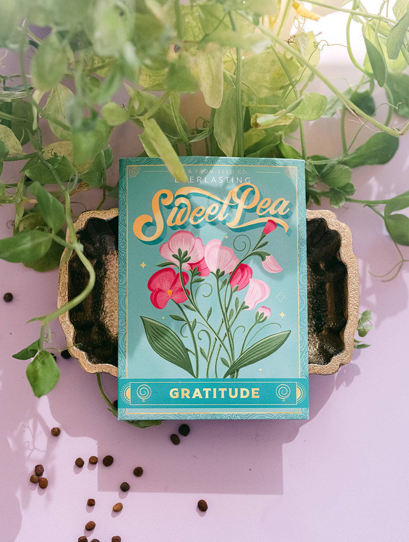 everlasting sweet pea (gratitude)- floriography seed packet