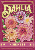 dahlia (kindness)- floriography seed packet
