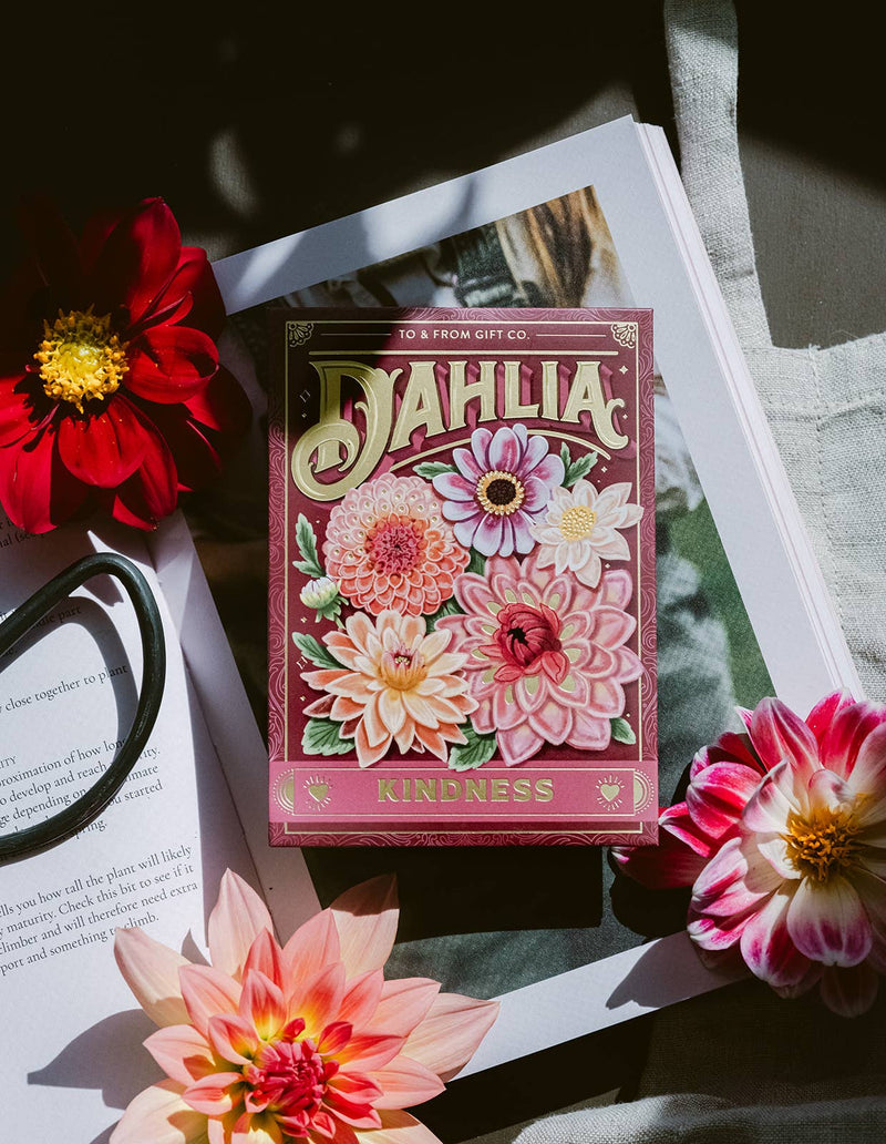 dahlia (kindness)- floriography seed packet