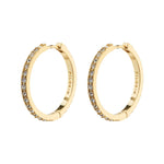 ebna large crystal hoops