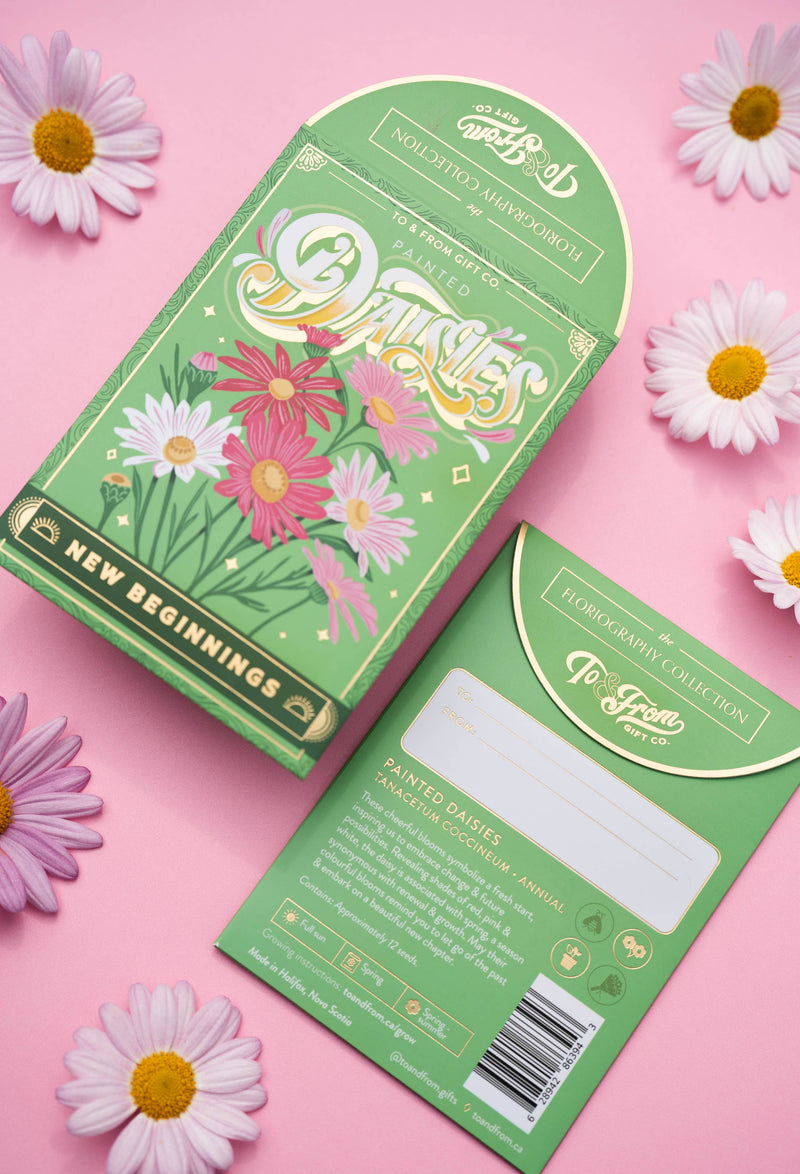 painted daisies (new beginnings) - floriography seed packet
