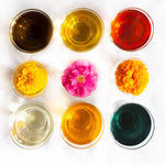 partridgeberry + mint wild herb infused lip balm
