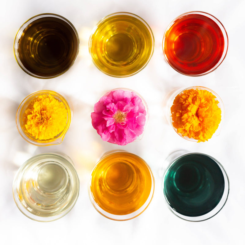 partridgeberry + mint wild herb infused lip balm