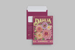 dahlia (kindness)- floriography seed packet