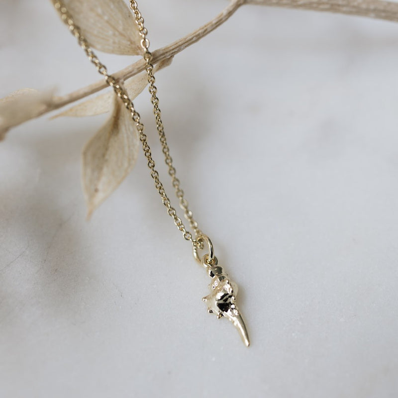 conch charm necklace