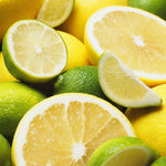 the outport hoodie- lemon lime