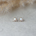 aurora studs