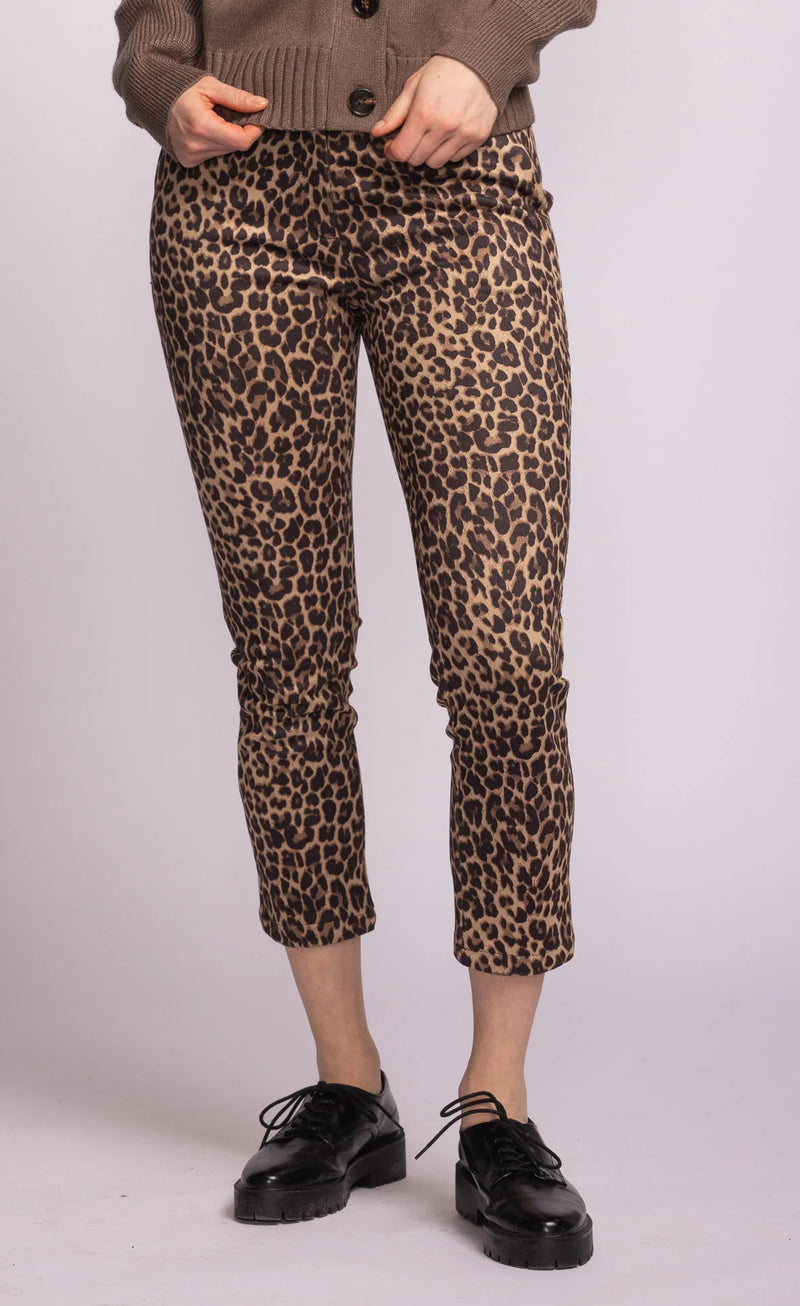 kitty leopard pants