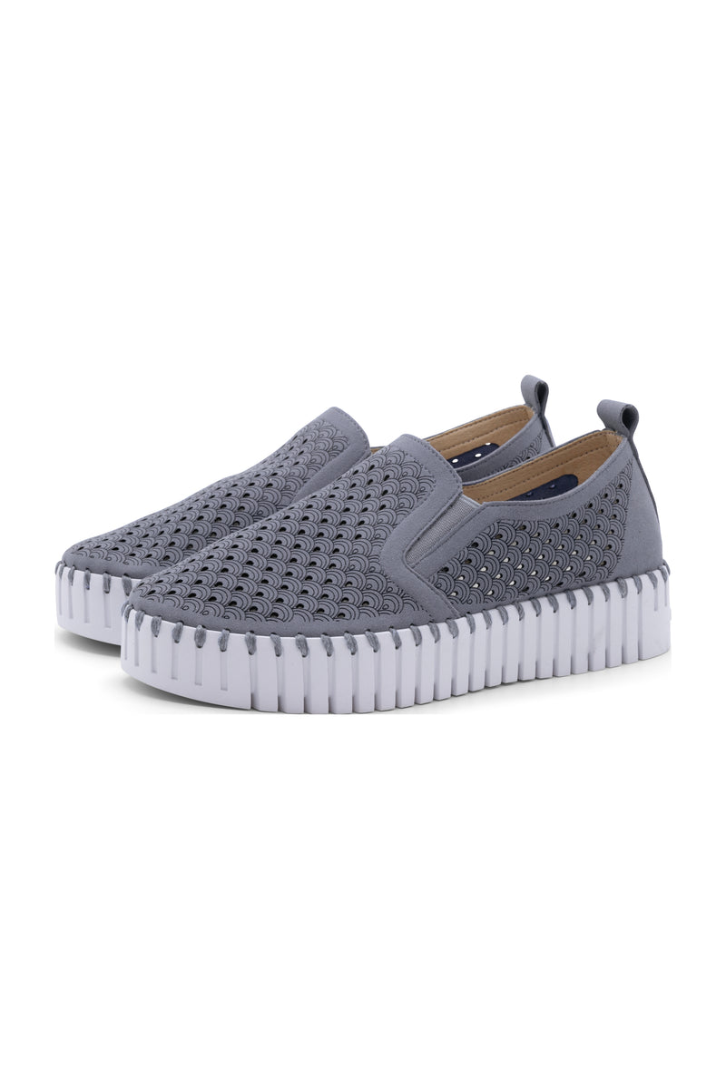 platform tulip flats- blue grey